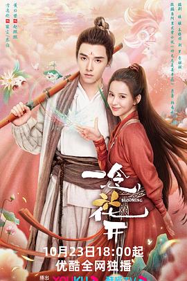 海南专业的seo优化